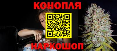 Альфа ПВП Лесосибирск