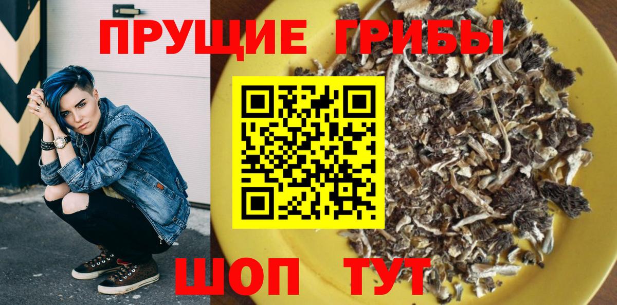 Ивантеевка  Псилоцибиновые грибы GOLDEN TEACHER  Вход с VPN 